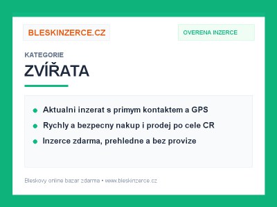 Přepravní box / přepravka pro psa do kufru auta, hliníková